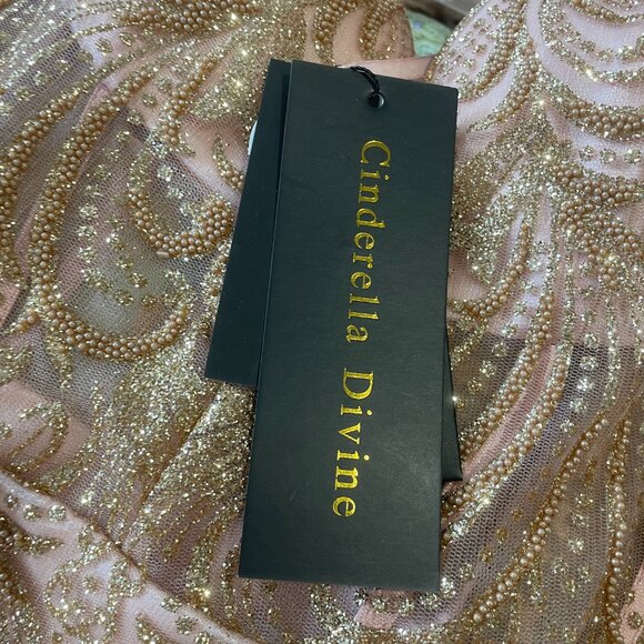 Glamorous Blush Maxi Dress with Feather Accents - Picture 9 of 10